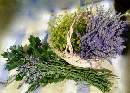 Fiori secchi